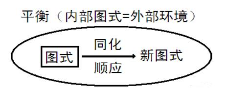 皮亞杰的相關(guān)理論——養(yǎng)兒不識(shí)皮亞杰，便稱慈父也枉然